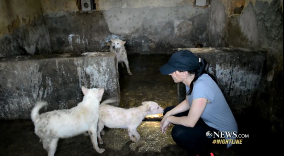 Julianne Perry at dog meat farm in China.